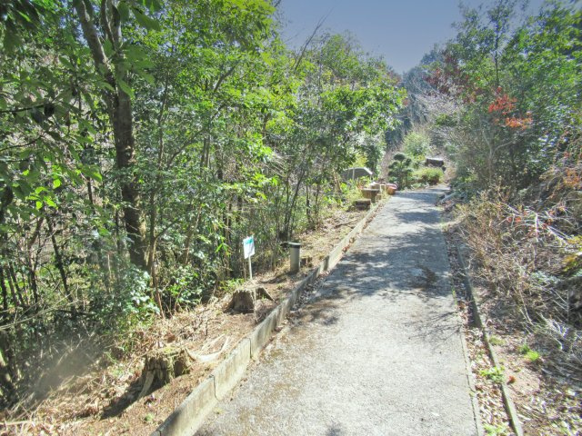 伊豆エメラルドタウン⑲の前面道路含む現地写真