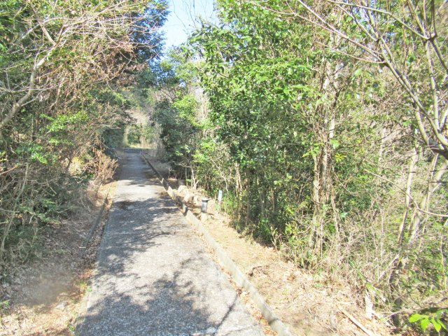伊豆エメラルドタウン⑲の前面道路含む現地写真