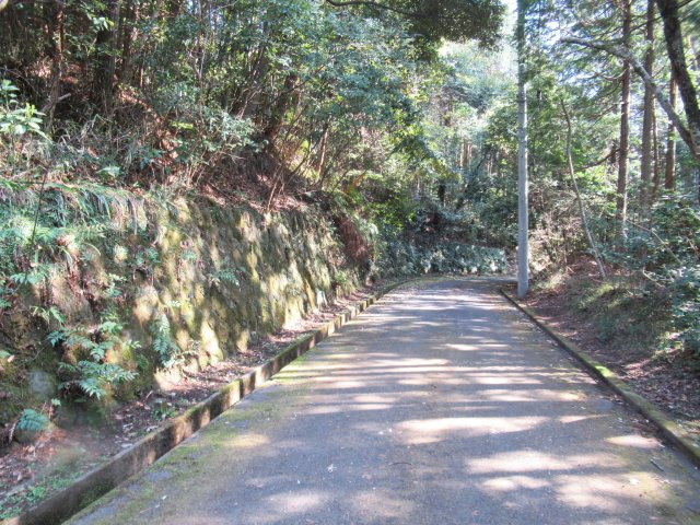 伊豆エメラルドタウン⑳の前面道路含む現地写真