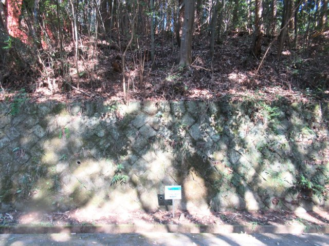 伊豆エメラルドタウン⑳の外観