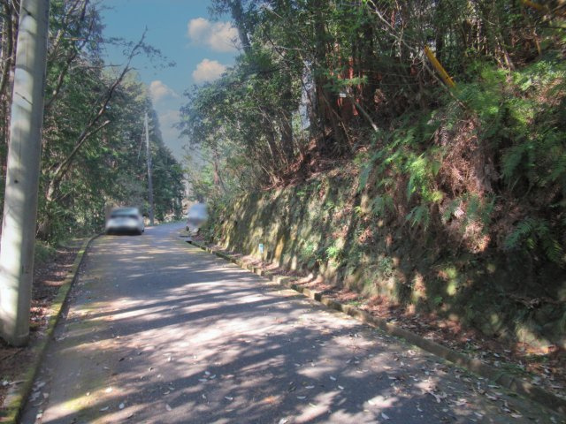 伊豆エメラルドタウン⑳の前面道路含む現地写真