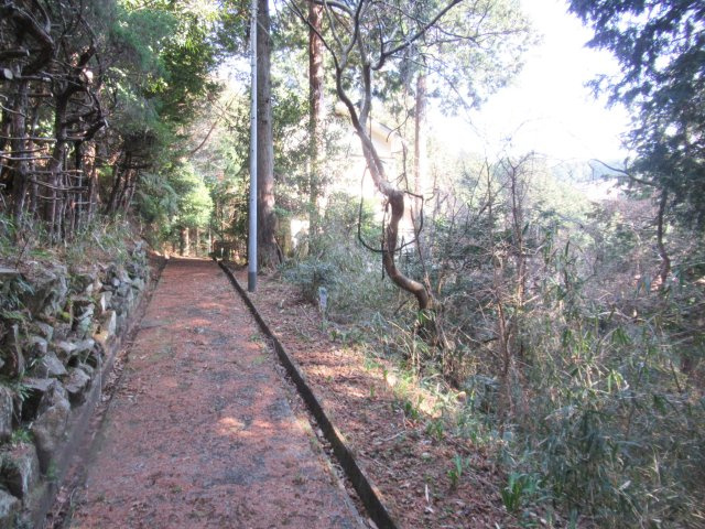 伊豆エメラルドタウン㉑の前面道路含む現地写真