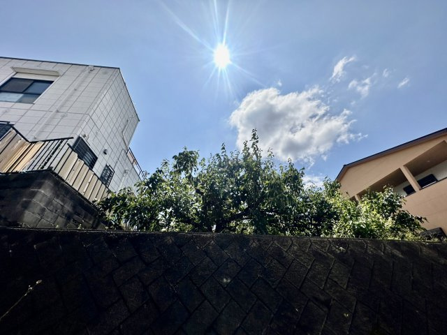 【展望】 | オリエンスC