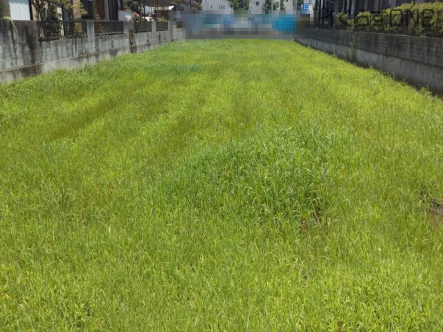 【外観】 | 姫路市勝原区大谷／売土地