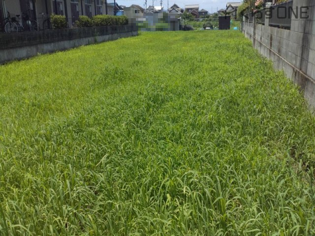 【外観】 | 姫路市勝原区大谷／売土地