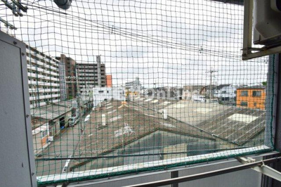  | コットンヴィラ