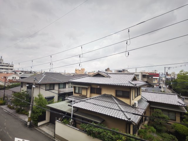 ウィルコートの展望