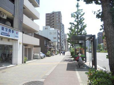 フェニックス堀川の周辺|前面道路