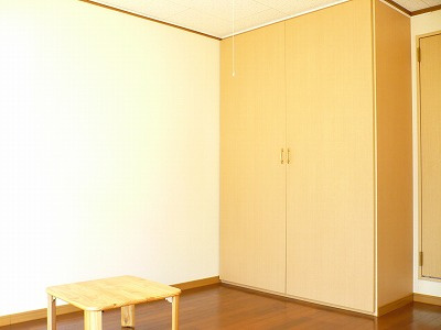 レオパレススカイハイライズの収納