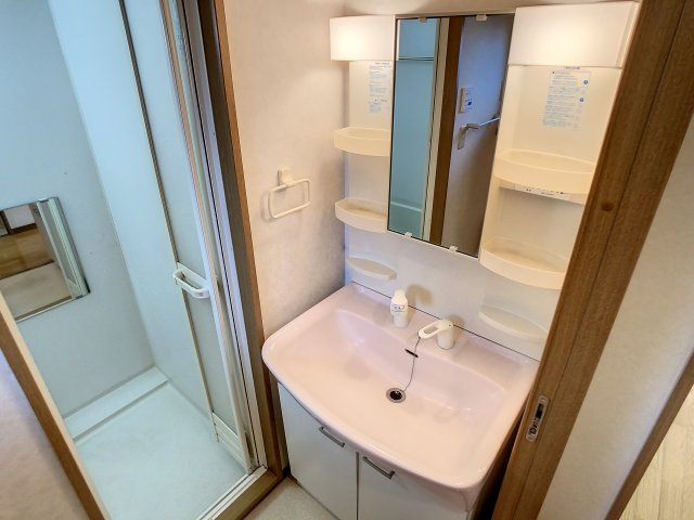 エイペクスアライの洗面所