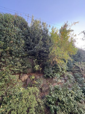 【展望】 | エクセリオン神大寺Ⅰ | エクセリオン神大寺Ⅰ　眺望