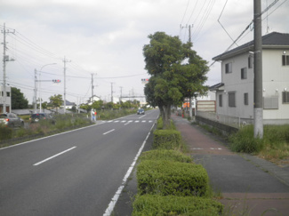 【前面道路含む現地写真】 | 前面道路含む現地写真です