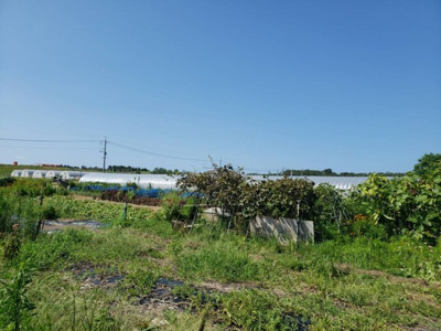 【外観】 | 鳥取市賀露町西１丁目畑