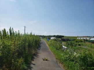【前面道路含む現地写真】 | 鳥取市賀露町西１丁目畑