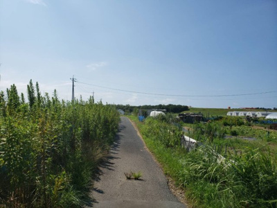 【前面道路含む現地写真】 | 鳥取市賀露町西１丁目畑