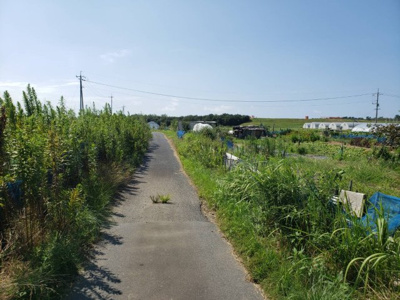 【前面道路含む現地写真】 | 鳥取市賀露町西１丁目畑