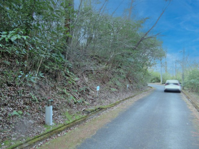 伊豆エメラルドタウン㉓の前面道路含む現地写真