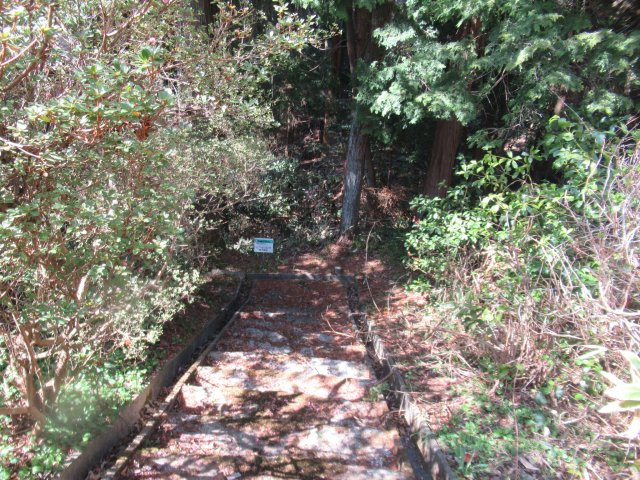 伊豆エメラルドタウン㉒の前面道路含む現地写真