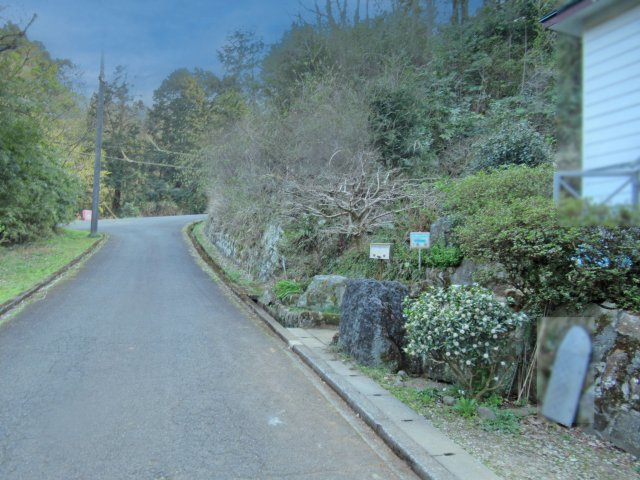 伊豆エメラルドタウン㉔の前面道路含む現地写真