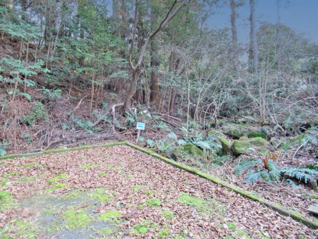 伊豆エメラルドタウン㉖