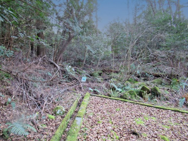 伊豆エメラルドタウン㉖の前面道路含む現地写真