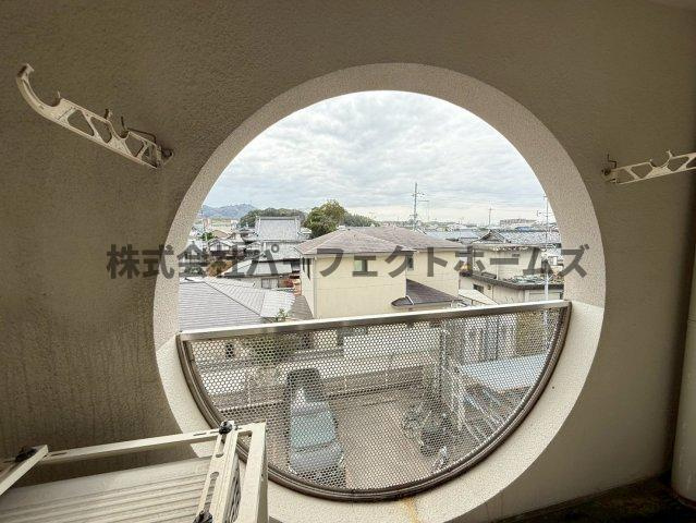 ルシール森田の展望