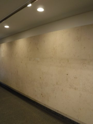 【その他共用部分】 | フローラル東葛西Ⅰ | 高級感のあるエレベーターホール