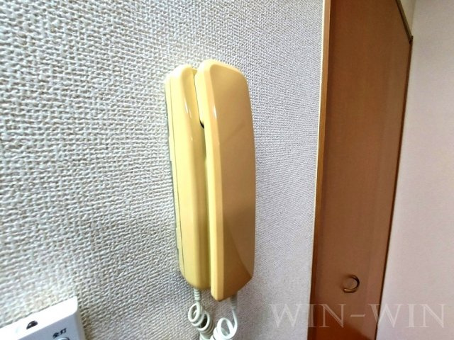 キャッスルカタバミのセキュリティ