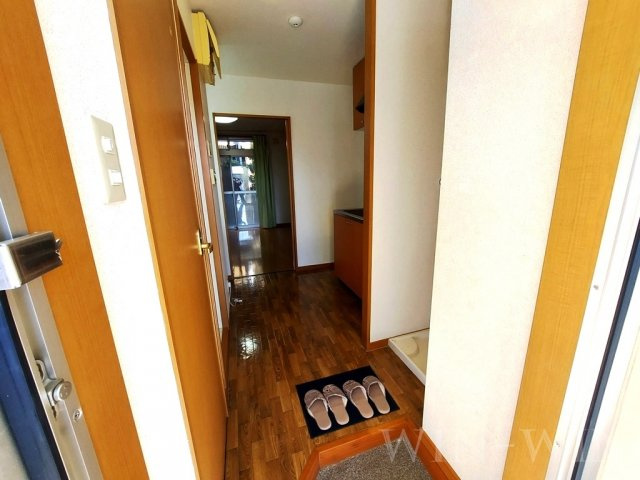 キャッスルカタバミの内装