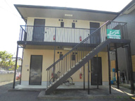 セフィア伊藤の画像