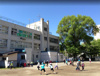 札幌市立二条小学校（552m） 