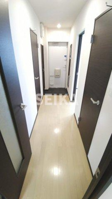 【その他】 | STARS