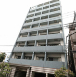 RADIANTIWAIDAの画像