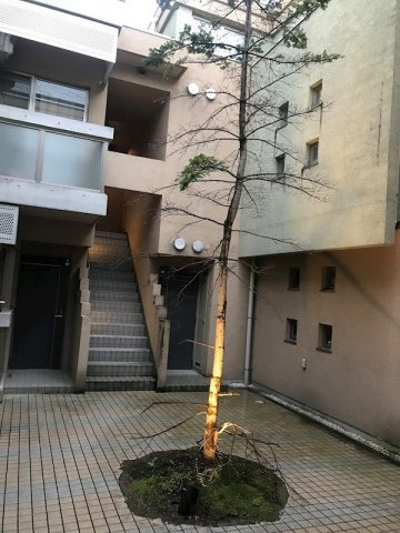 【エントランス】ストゥディオ・ローズマリー