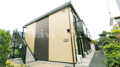 アムール　エチゴの画像