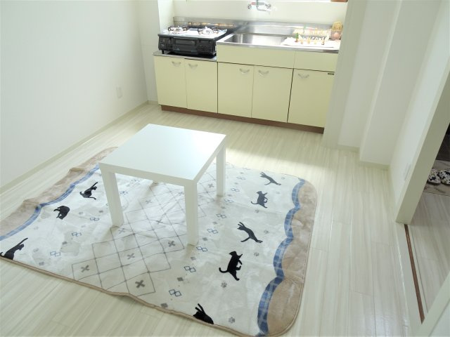 アクア大垣のキッチン