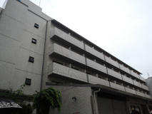 Eighty　eightタチカワの画像