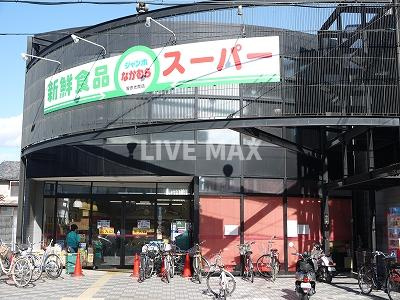 ジャンボなかむら智恵光院店（581m） 