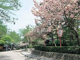 円山公園（463m）