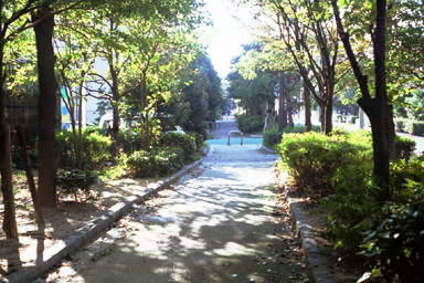 江尻川緑道（265m） 