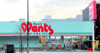 ドラッグストアWants（ウォンツ） 白島店（381m） 