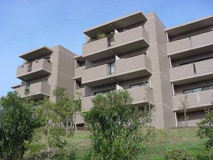 神戸市東灘区西岡本６丁目のマンションの画像