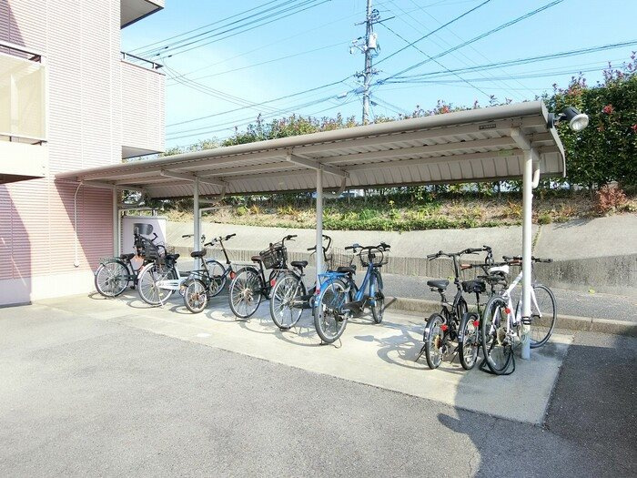 【その他】Crest　Tenma 