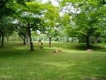 住吉公園（220m）