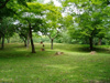 冷泉公園（1064m） 