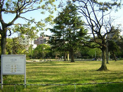 須崎公園（275m）