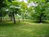 中比恵公園（1047m） 