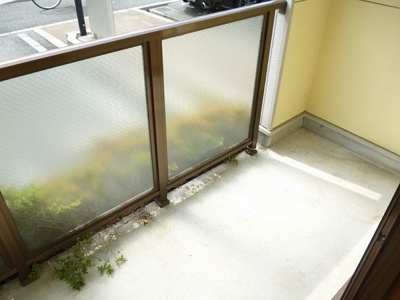 【バルコニー】 | パインワン