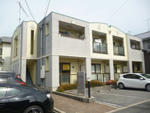 パインワンの画像