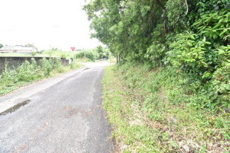 【前面道路含む現地写真】 | 鹿屋市吾平町下名　売地 | 東側